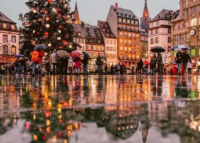 Centre-ville, Cathedrale, Petite France 아파트
